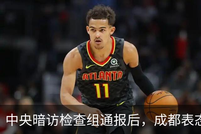 中央暗访检查组通报后，成都表态：已立案调查，拟顶格处罚