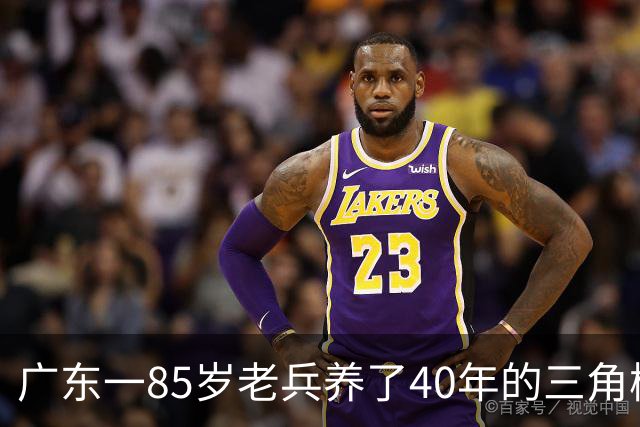 广东一85岁老兵养了40年的三角梅“火了”，开成“浪漫花屋”，网友：看哭了