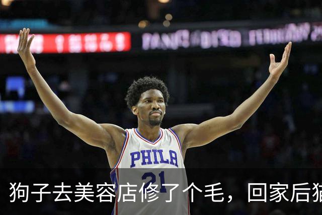 狗子去美容店修了个毛，回家后猫咪直接炸毛：这丑狗是谁？铲屎的，你接错狗了吧！