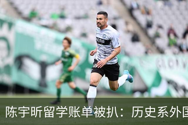 陈宇昕留学账单被扒：历史系外国学生学费、求学经历争议越来越大