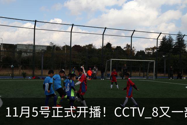 11月5号正式开播！CCTV 8又一部好剧来袭，主角配角我都很喜欢