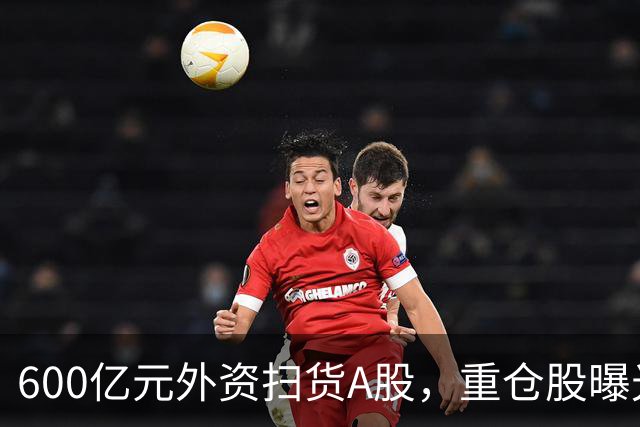 600亿元外资扫货A股，重仓股曝光